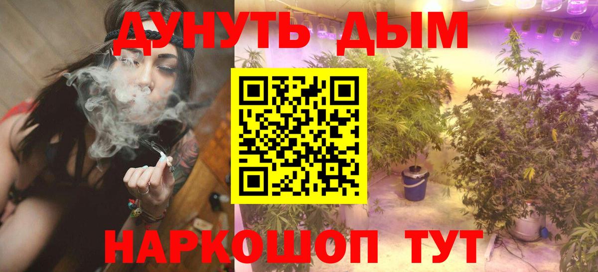 Бошки марихуана план  Вход с VPN  Шишки марихуана сатива  Печора  Канабис тримм 